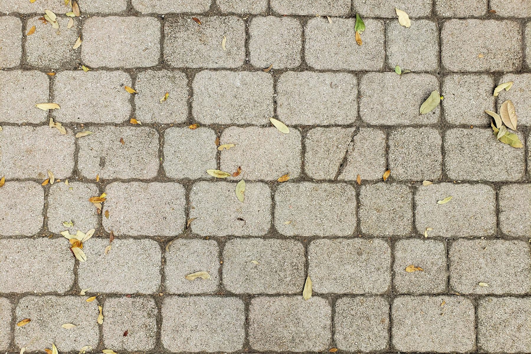 hardscaping project project in Tauranga