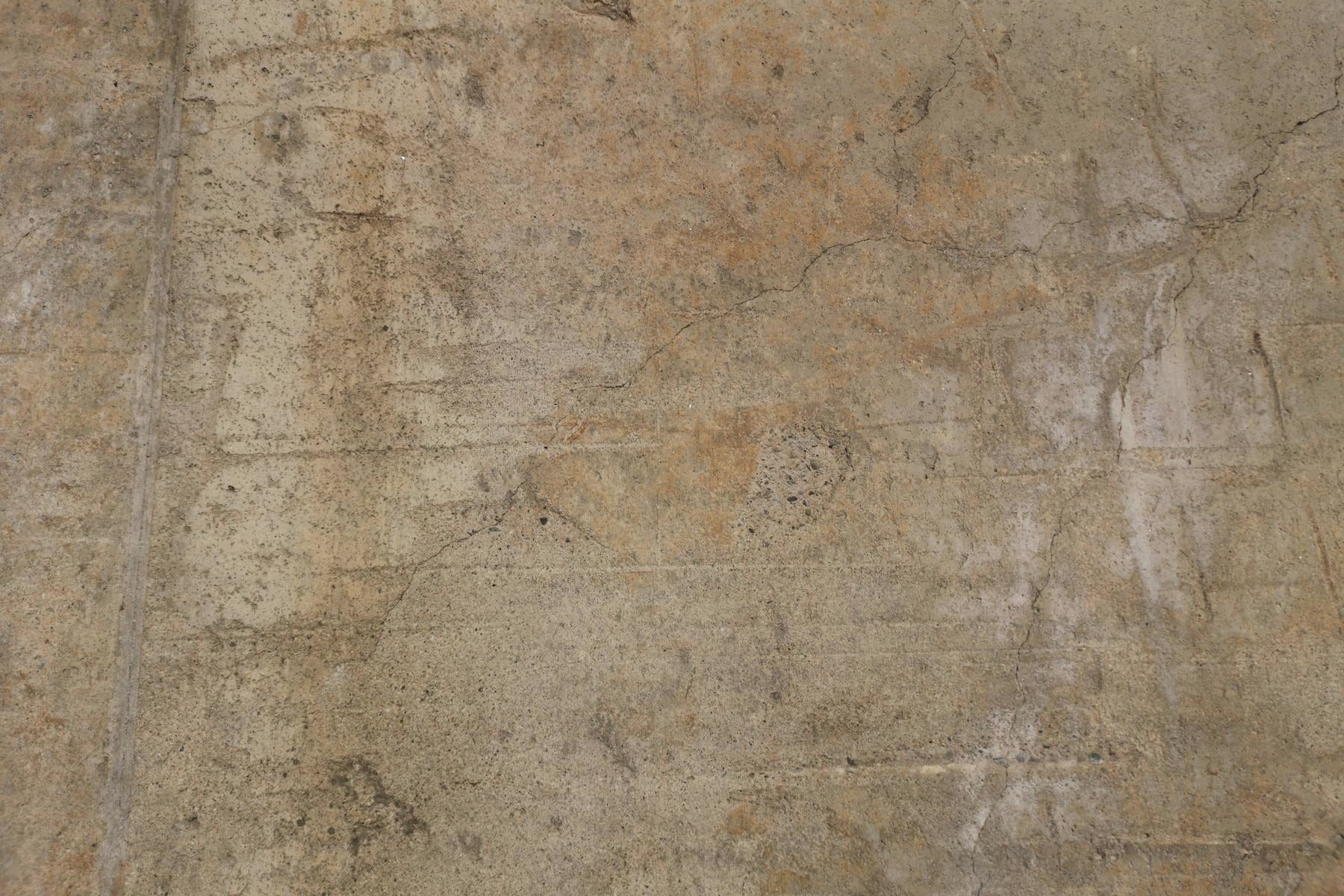 hardscaping project materials selected for Tauranga conditions